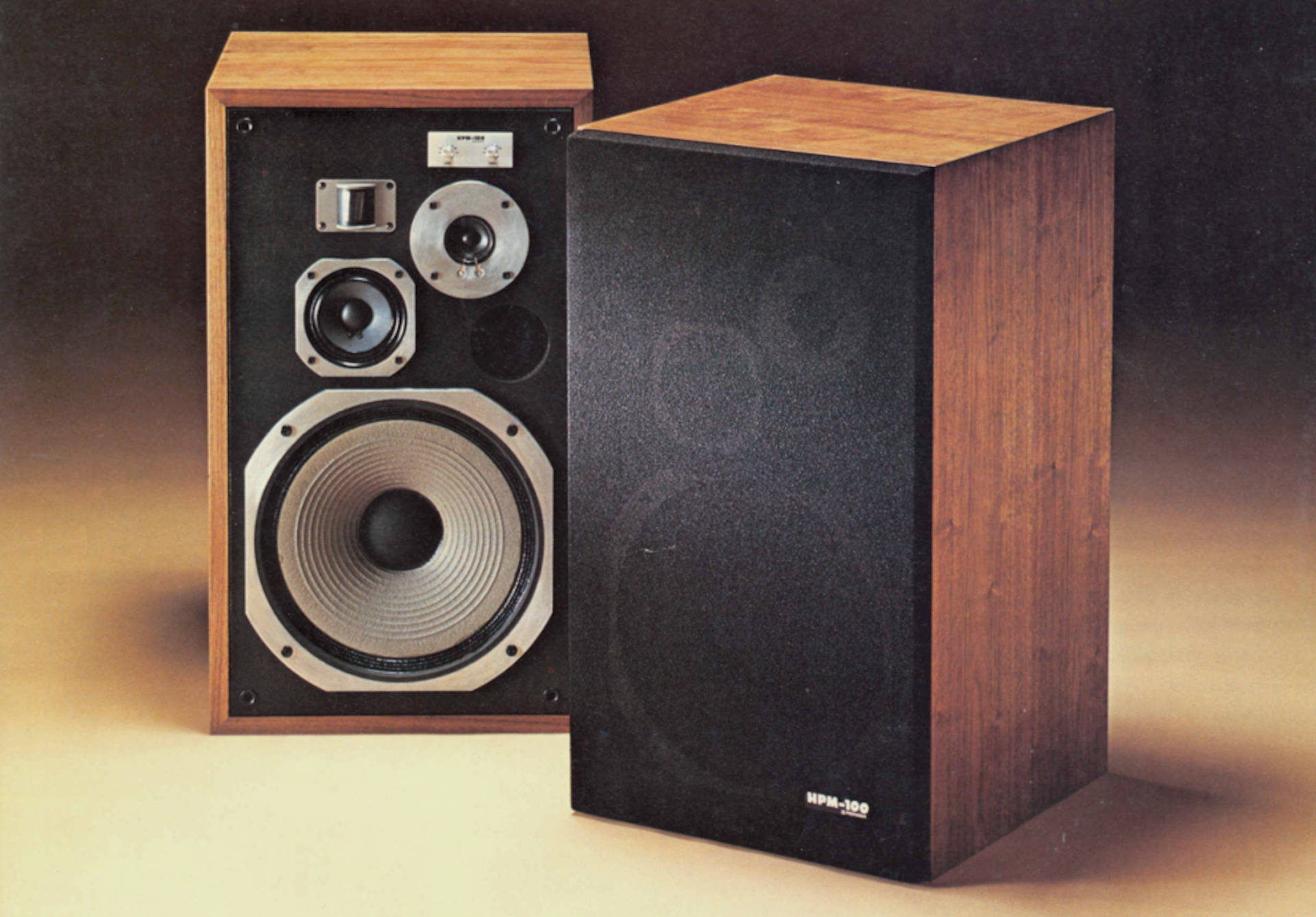 Pioneer HPM-100