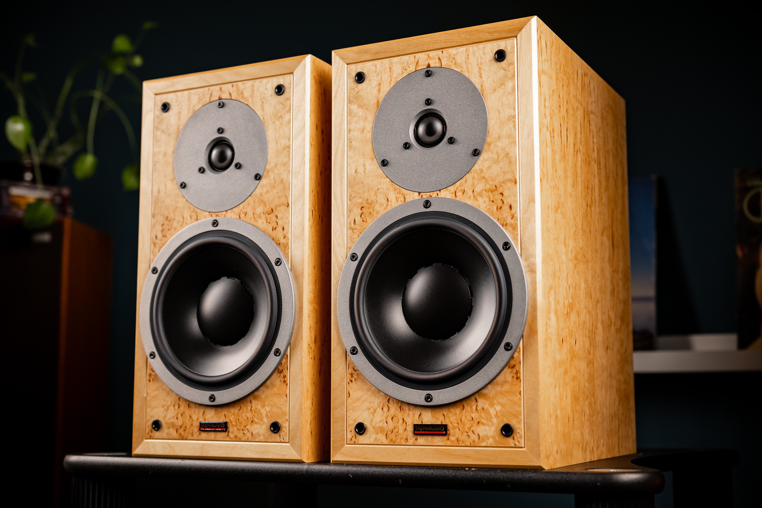 Begagnad Dynaudio Special Twenty Five + stativ