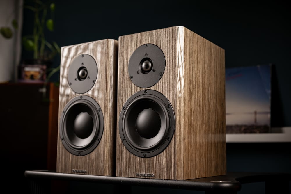 Begagnad Dynaudio Special Forty Grey Birch