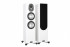 Monitor Audio Monitor Audio Gold 300 5G