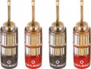 Banana-flex 4-pack