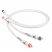 The Chord Company The Chord Company Sarum T Super Aray RCA