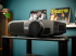 Panasonic Begagnad PT-AT 5000 3D-projektor