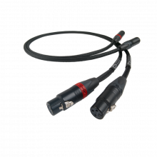 SignatureX Tuned ARAY Analogue XLR
