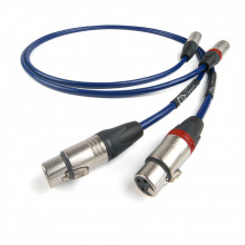 ClearwayX ARAY Analog XLR