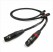 The Chord Company The Chord Company Signature Tuned ARAY XLR