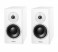 Dynaudio Focus 200 XD