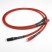 The Chord Company The Chord Company Shawline 2RCA - 2RCA