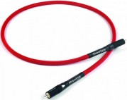 Shawline Digital 1RCA - 1RCA